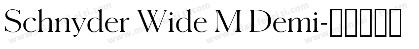Schnyder Wide M Demi字体转换